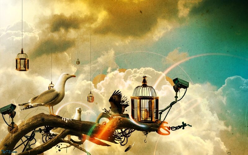 Birds and cages in the sky