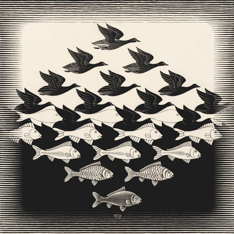 Birds and Fish Illusion