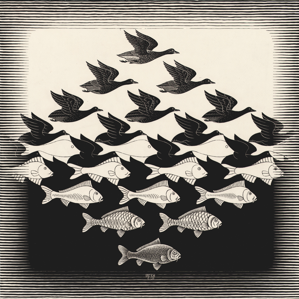 Birds and Fish Illusion