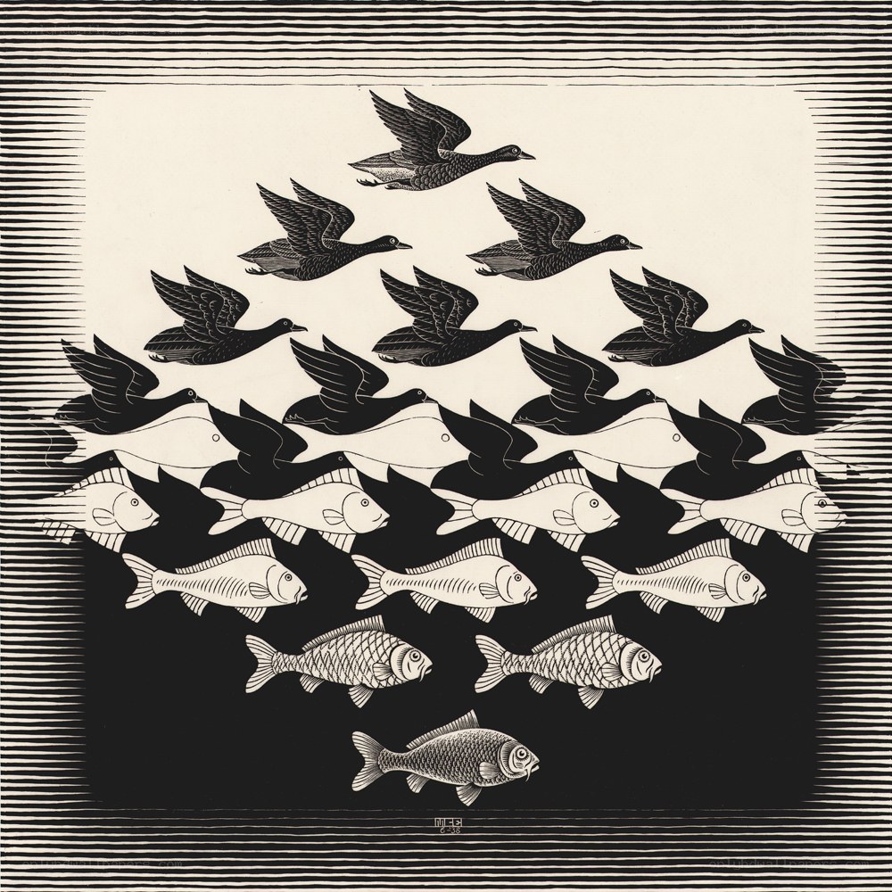 Birds and Fish Illusion