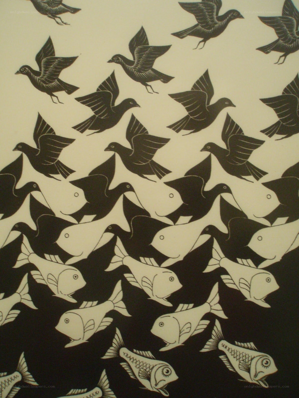 Birds and Fish Pattern Art