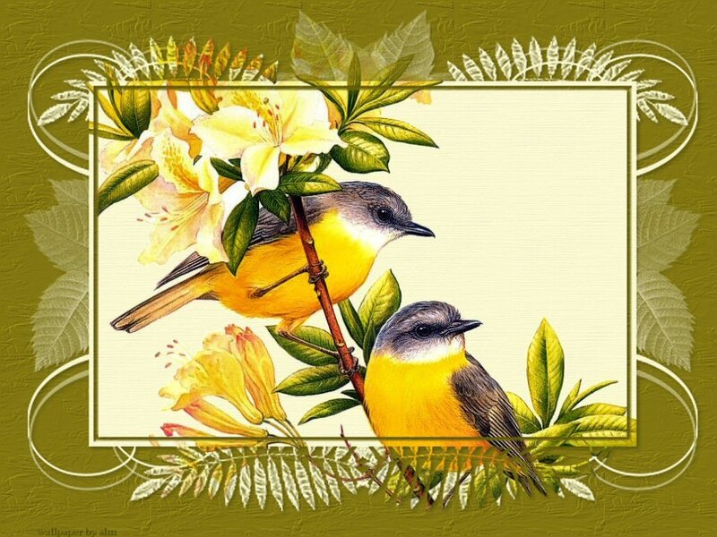 Birds and flowers illustration