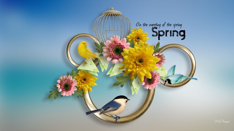 Birds and Flowers in a Frame