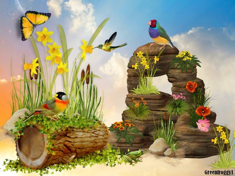 Birds and Flowers in Garden