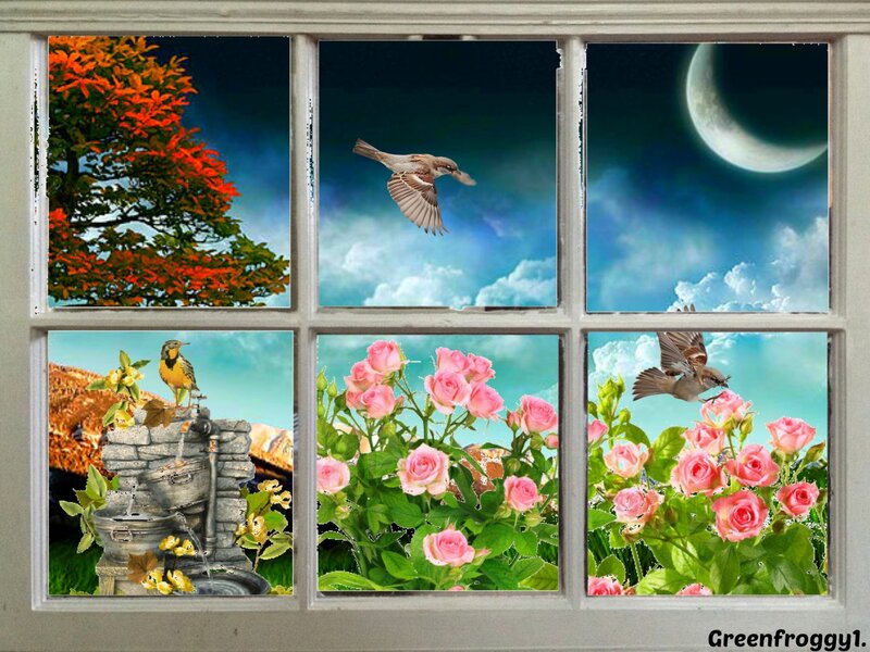 Birds and Flowers Through Window
