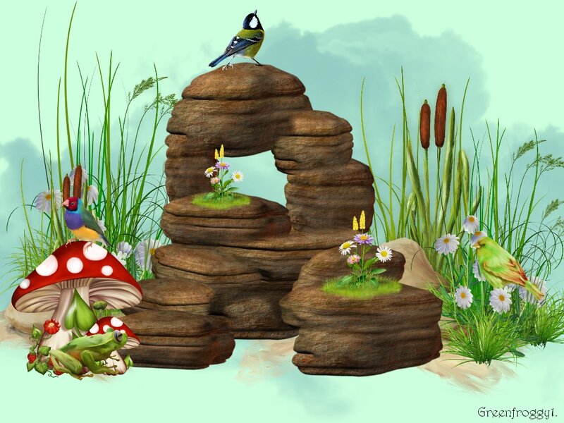 Birds and Frog in Garden