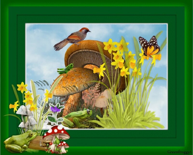 Birds and Frogs in Garden