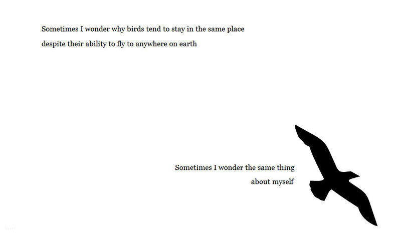 birds and self-reflection