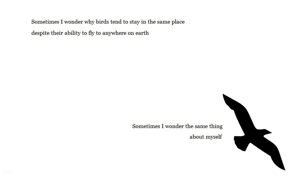 birds and self-reflection