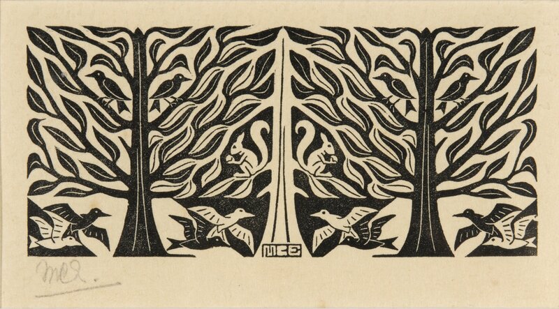 Birds and Squirrels in Trees
