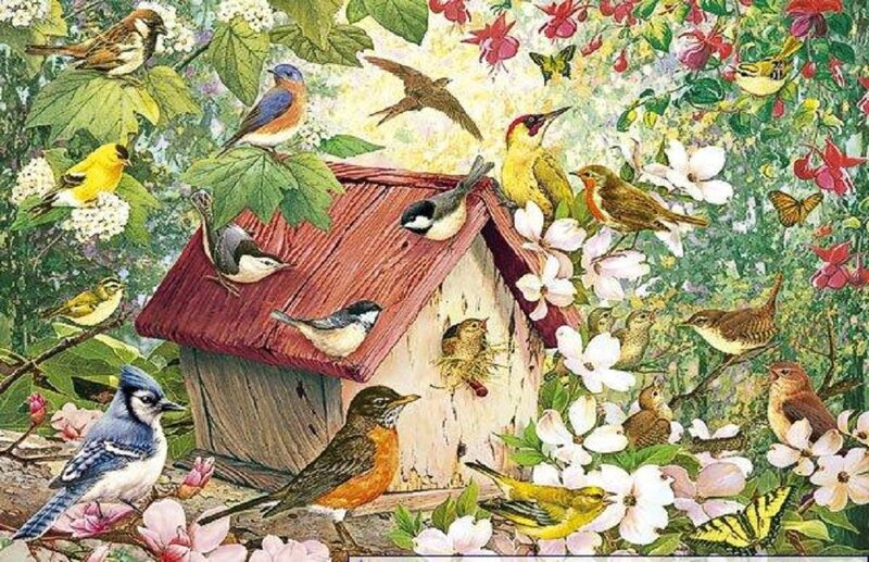 Birds Around Birdhouse