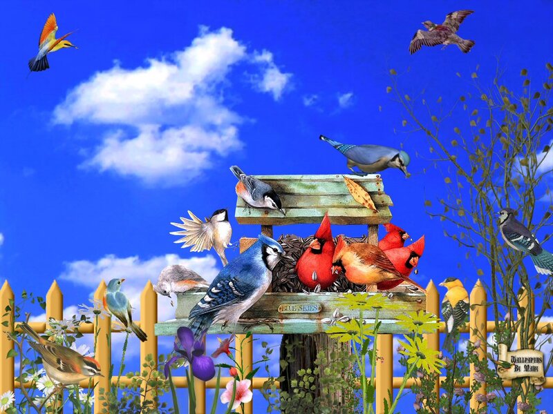 Birds at a Bird Feeder — Blue