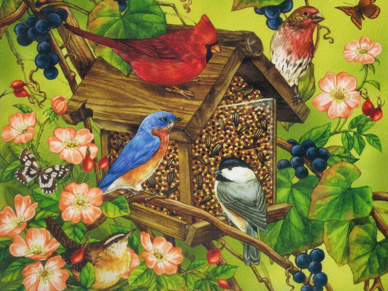 Birds at a Bird Feeder — Green, Lively