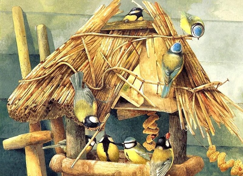 Birds at a Bird Feeder