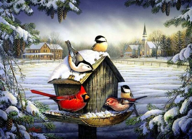Birds at a Bird Feeder — White