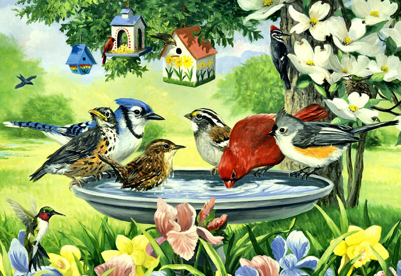 Birds at a Birdbath — Green, Serene, Spring