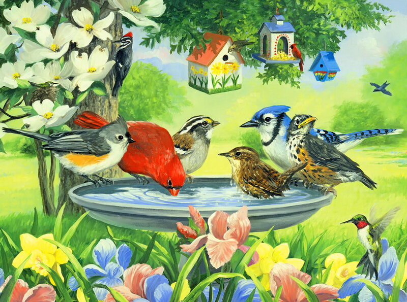 Birds at a Birdbath — Green, Serene