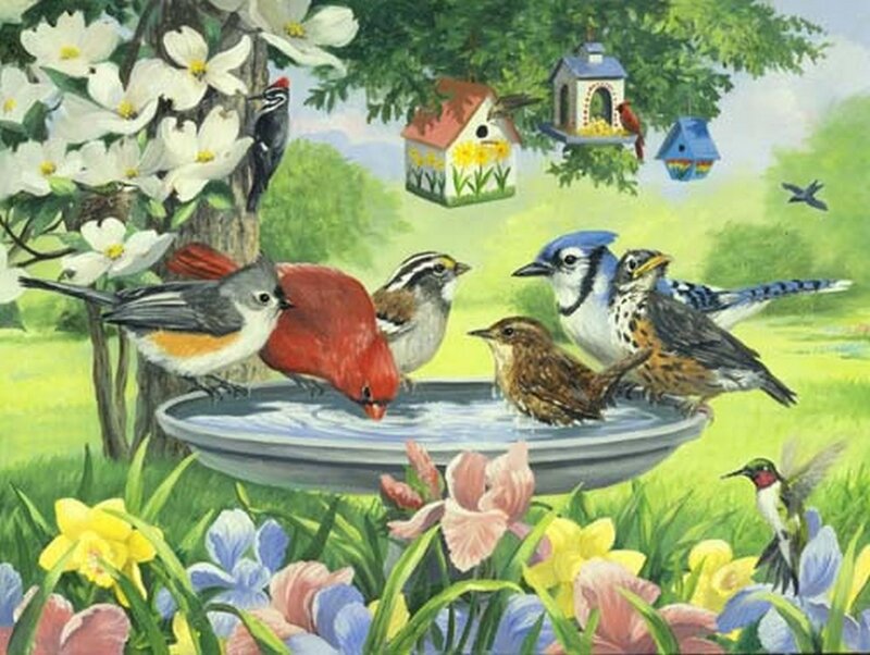 Birds at a Birdbath — Green