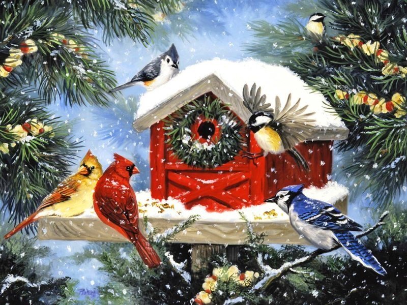 Birds at a Birdhouse — Red