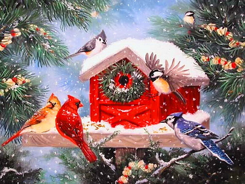 Birds at a Birdhouse