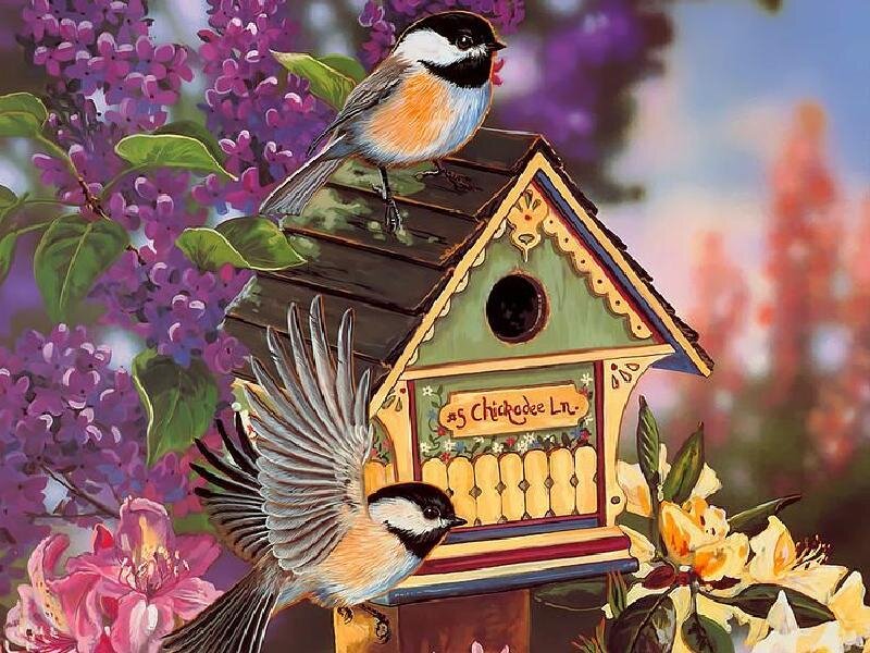Birds at a colorful birdhouse