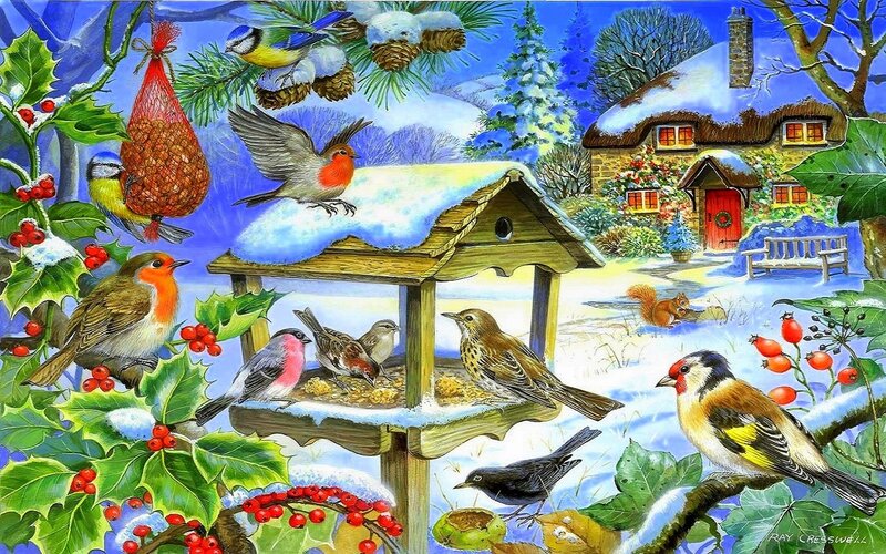 Birds at a Feeder — Blue, Festive