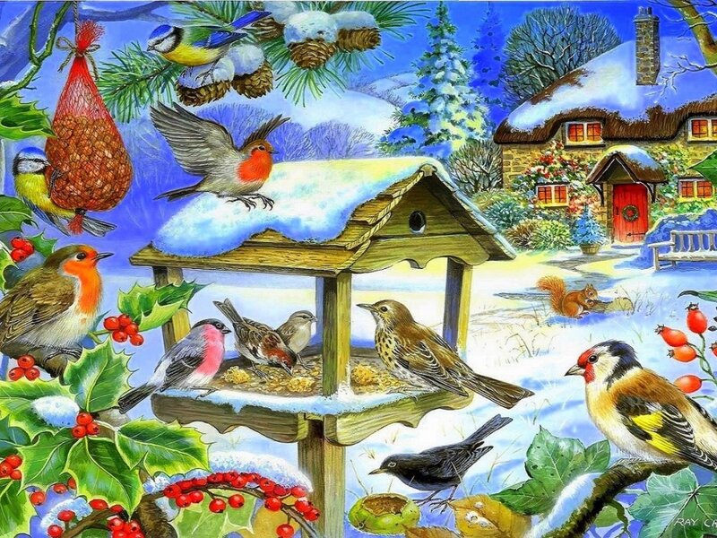 Birds at a Feeder — Blue, Festive, Winter