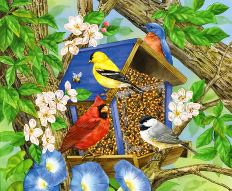 Birds at a Feeder — Blue, Peaceful