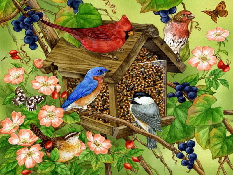 Birds at a Feeder — Green, Peaceful, Spring