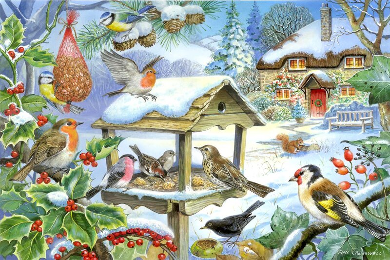 Birds at a Feeder — Green, Peaceful