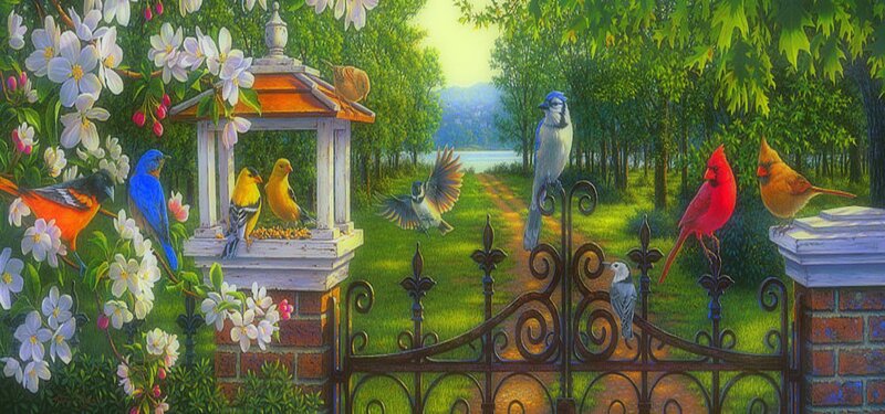 Birds at a Feeder — Green, Serene, Spring