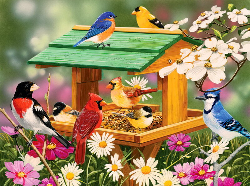 Birds at a Feeder — Green, Serene