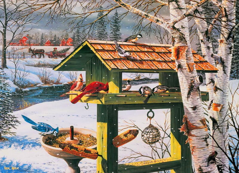 Birds at a Feeder — Green, Serene, Winter