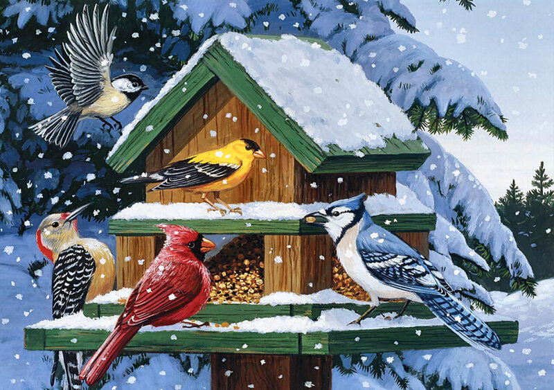 Birds at a Feeder — Red, Peaceful