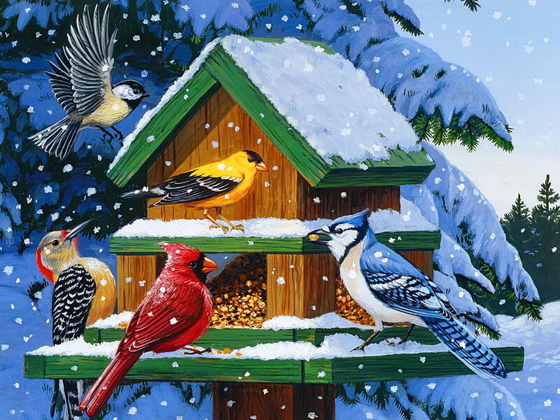 Birds at a Feeder — Red