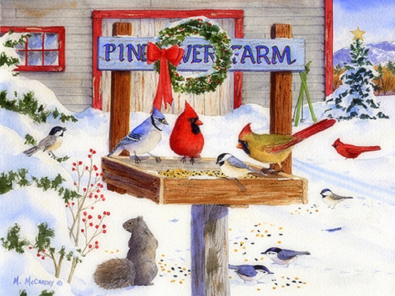 Birds at a Feeder — White