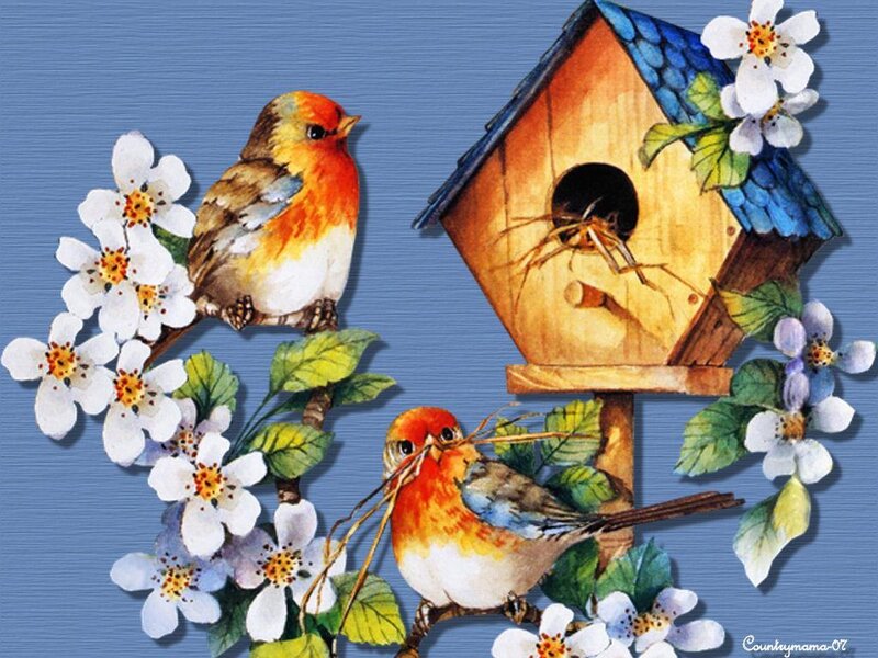Birds at a Nesting Box