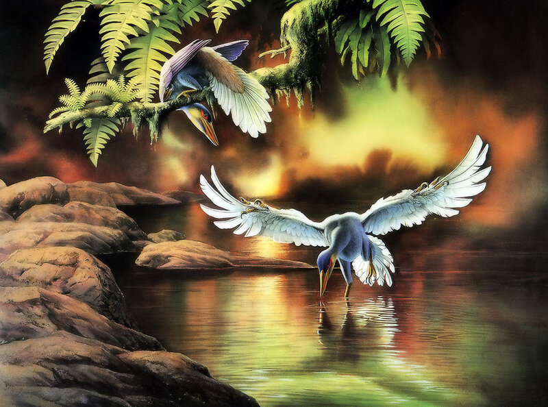 Birds at a River