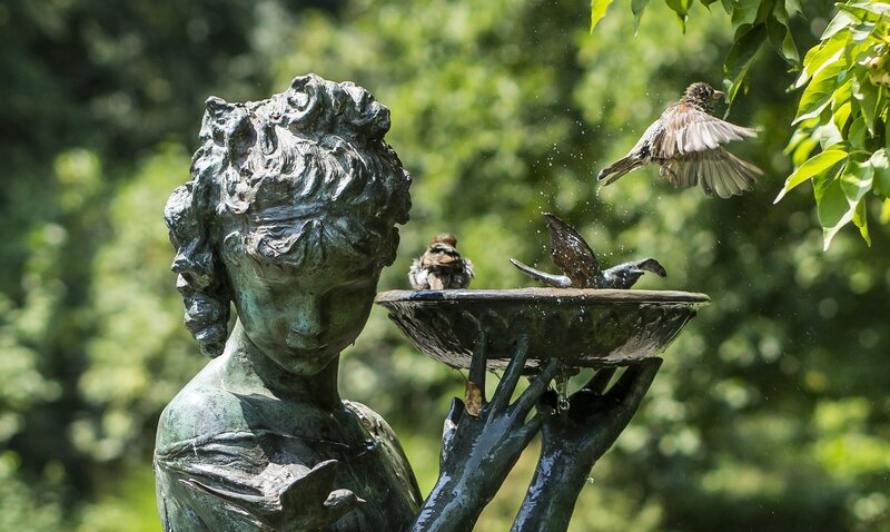 Birds at a statue fountain