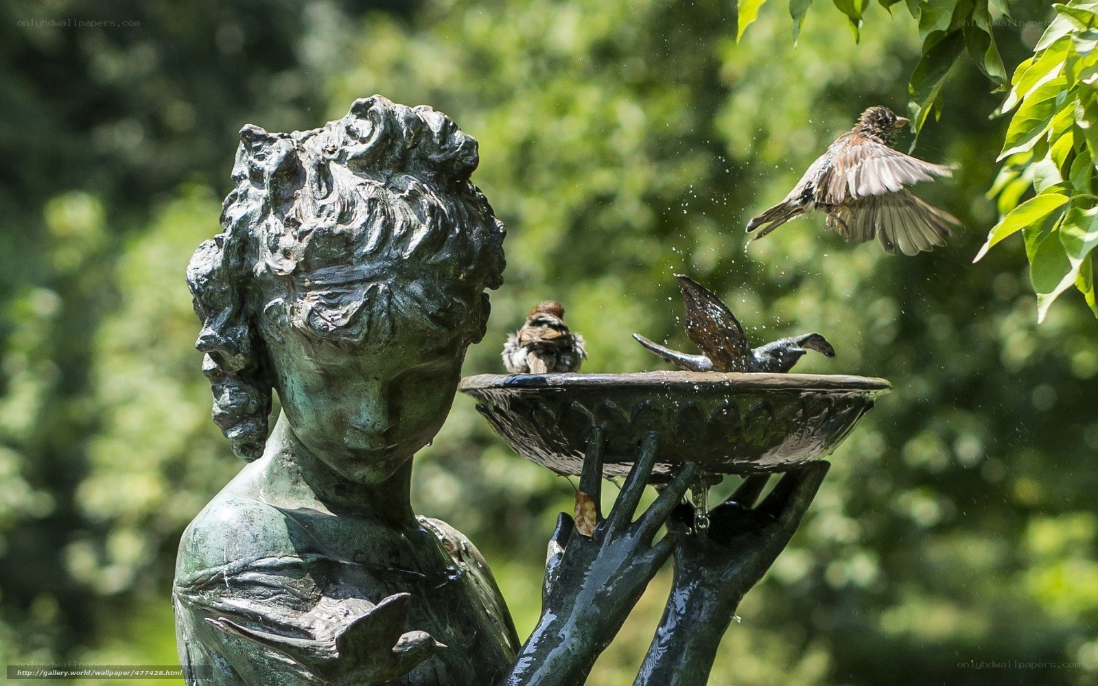 Birds at a statue fountain