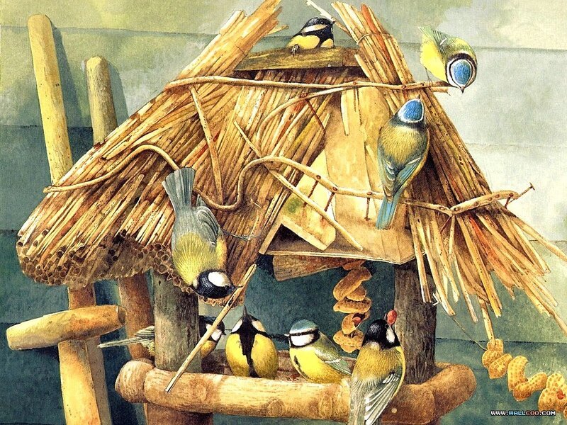 Birds at a Thatched Feeder