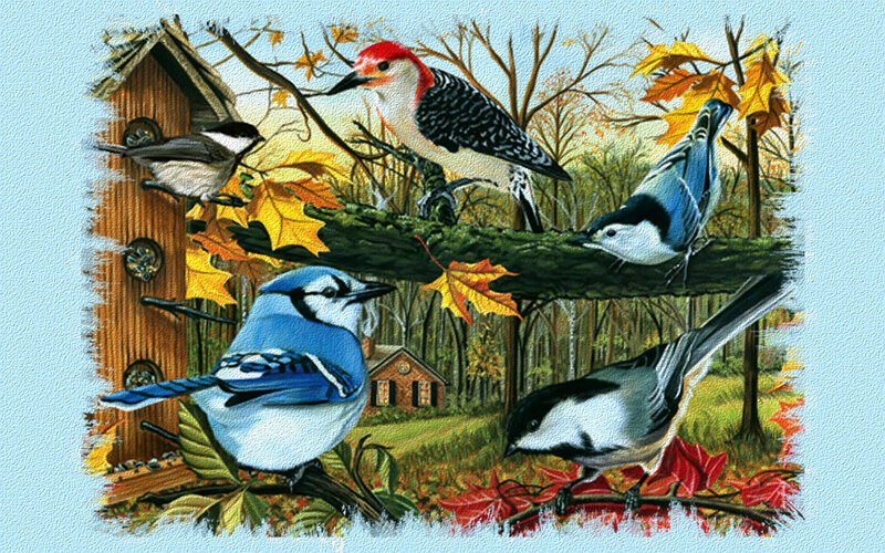 Birds at Bird Feeder — Blue, Serene