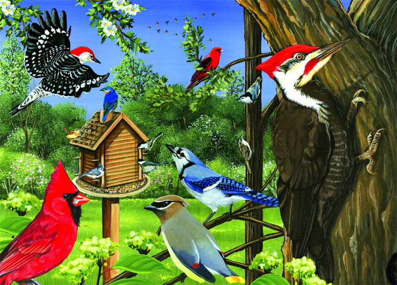 Birds at Bird Feeder — Green, Lively
