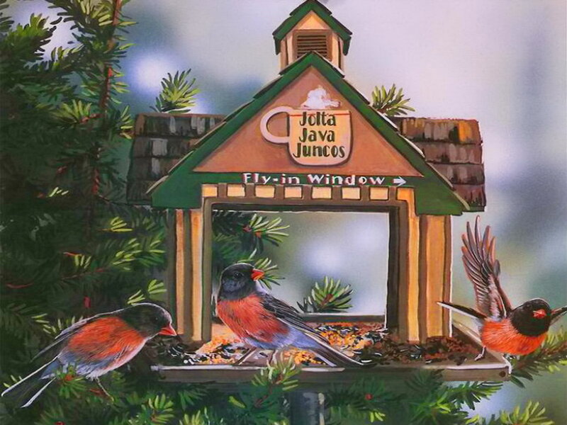 Birds at Bird Feeder — Green, Peaceful