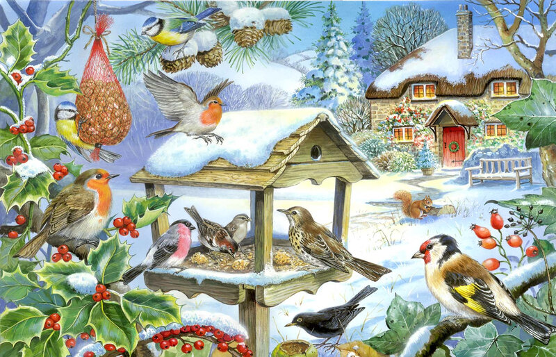 Birds at Bird Feeder — Green, Peaceful, Winter