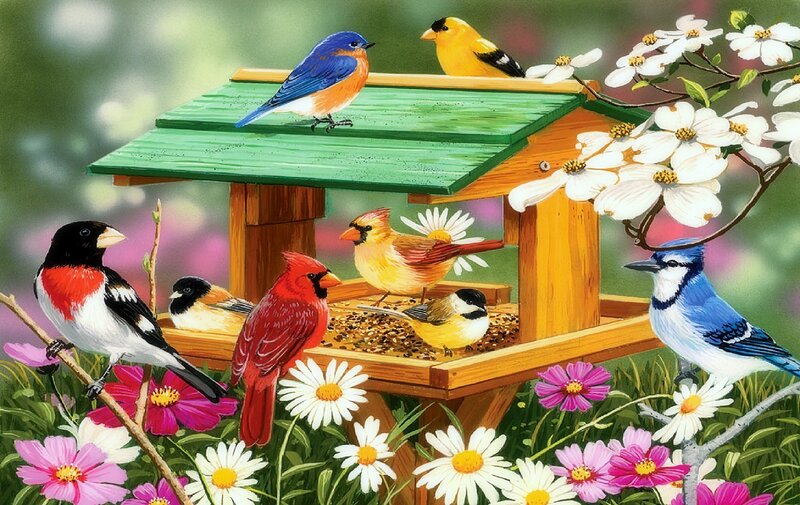 Birds at Bird Feeder — Green, Serene, Spring