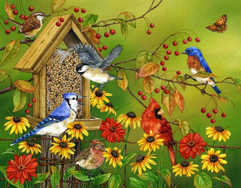 Birds at Bird Feeder — Green