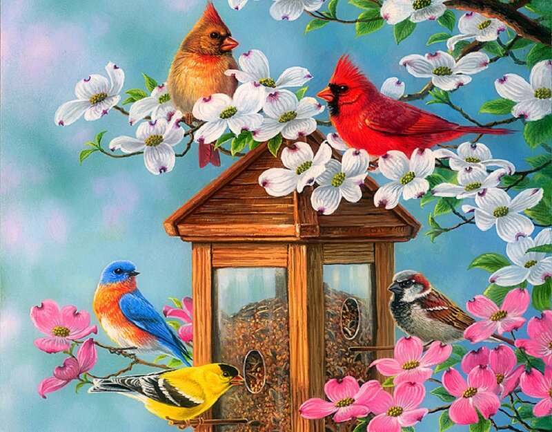 Birds at Bird Feeder — Red, Serene