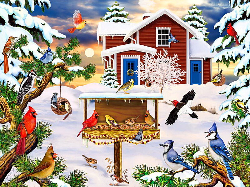 Birds at Bird Feeder — Red