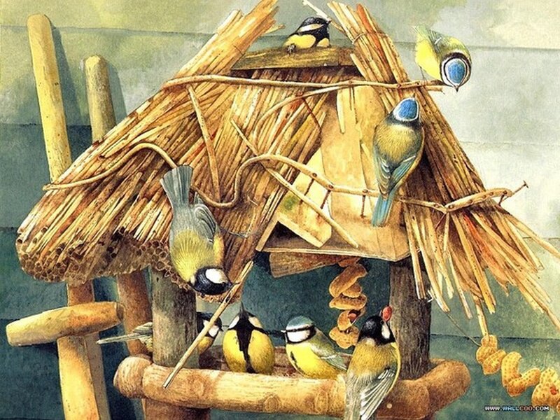 Birds at Bird Feeder — Yellow